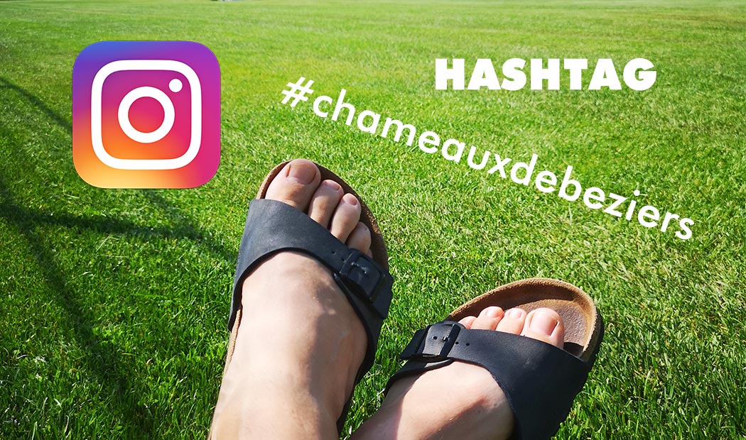 Les Chameaux en vacances sur Instagram #chameauxdebeziers