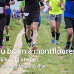 Planning entrainement Novembre/Décembre 2018