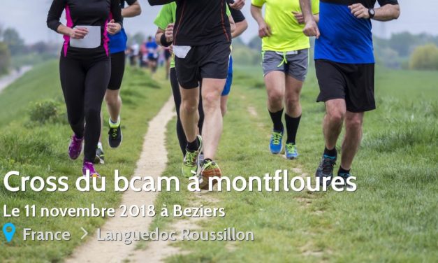 Planning entrainement Novembre/Décembre 2018